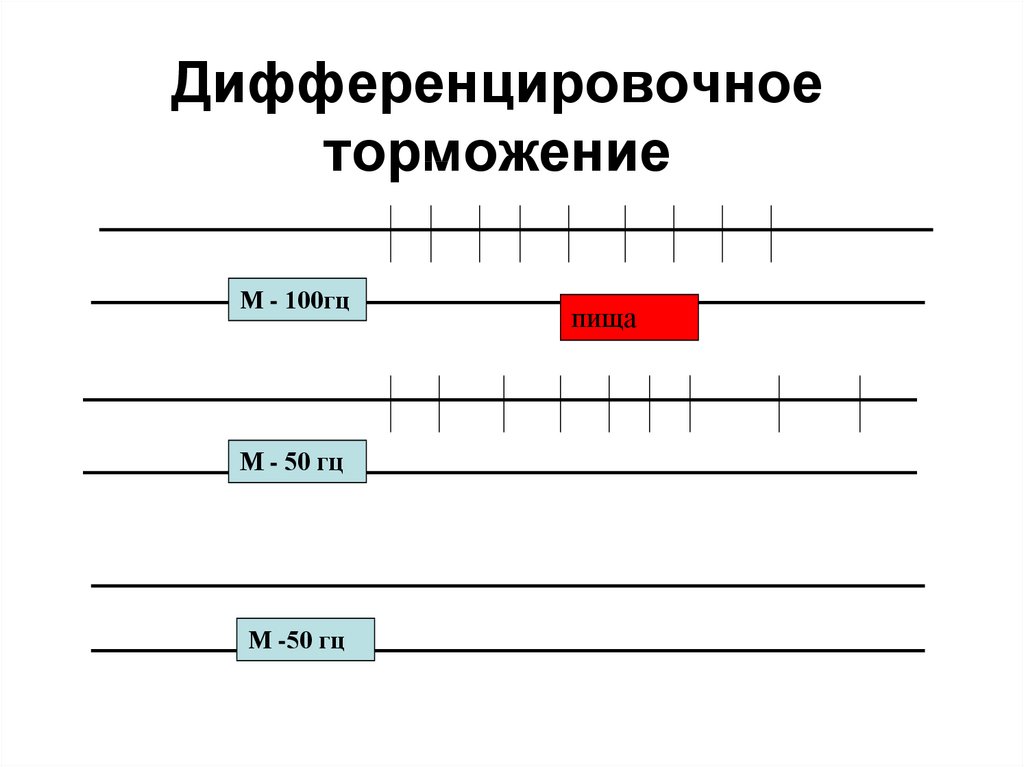 Угасательное торможение это. Дифференцировочное торможение. Дифференцировочное торможение примеры. Дифференцировочное торможение схема. Дифференцировочное торможение физиология.