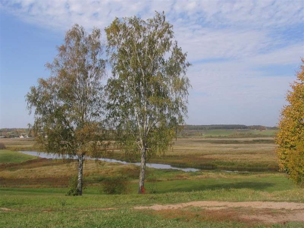 Идея родины. Родина. Фото природы России с чего начинается Родина. Любовь к малой родине фото. Коурак Родина моя.