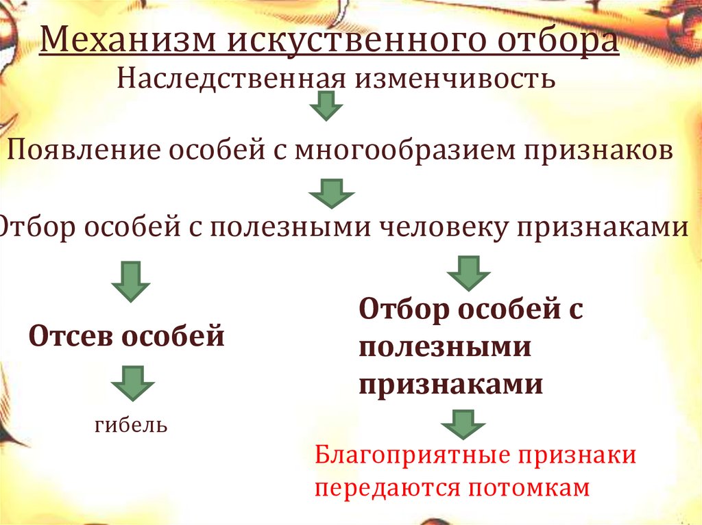 Основные признаки отбора