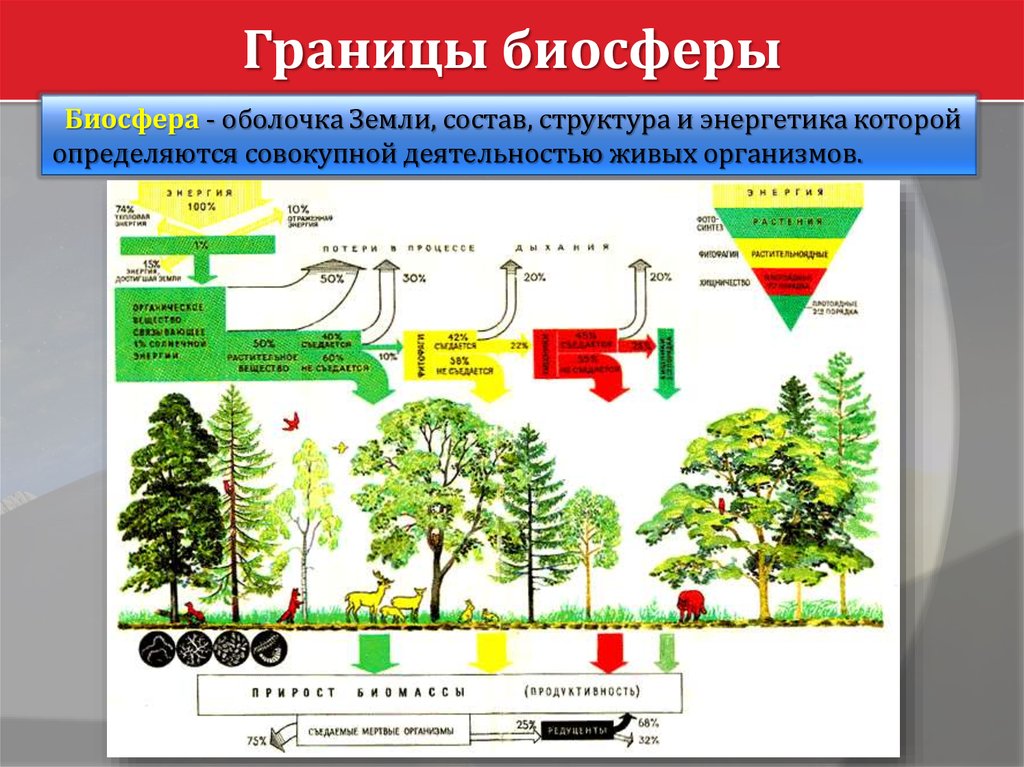 Исследования и экологические проблемы биосферы 6 класс