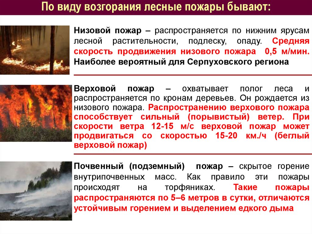 По виду возгорания лесные пожары бывают: