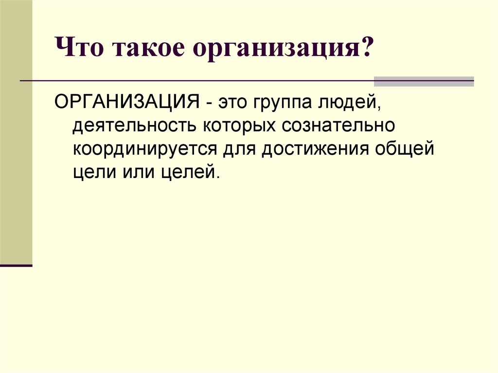 Что такое организация презентация