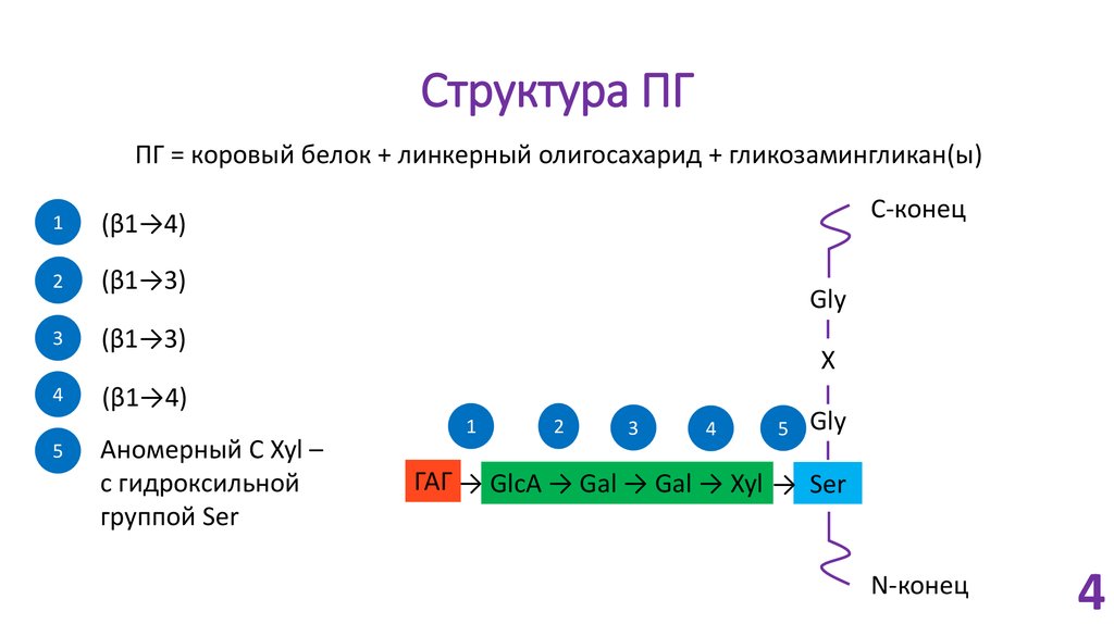 Структура ПГ