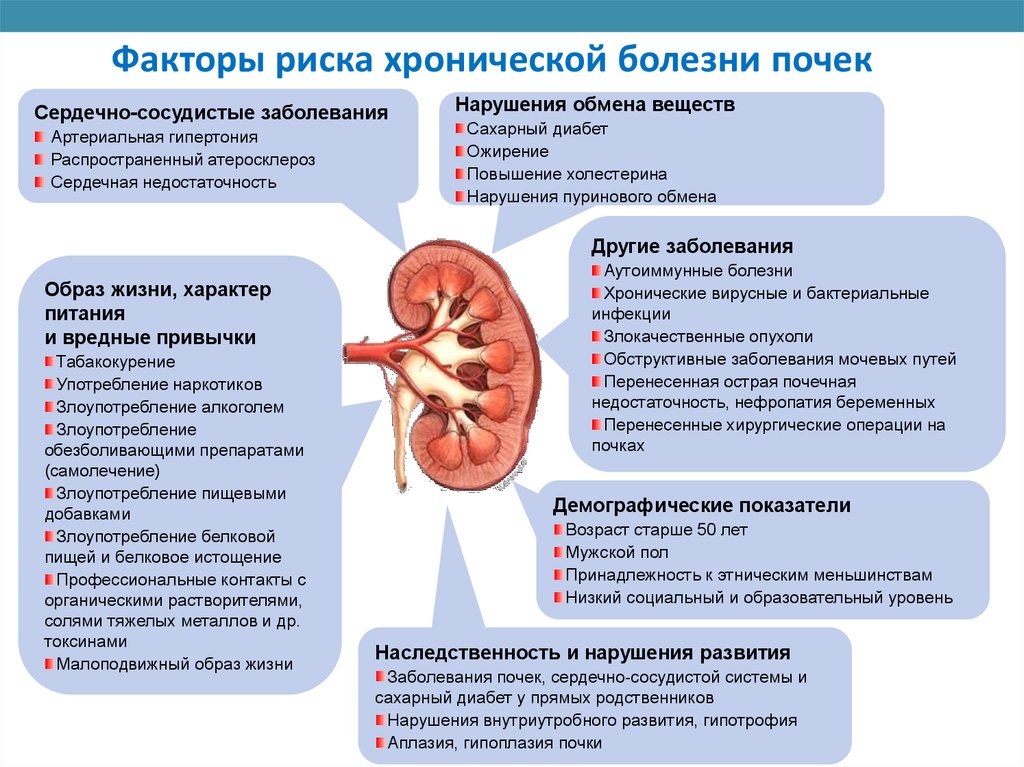 Почка при почечной недостаточности. Хронический пиелонефрит факторы риска развития заболевания. Болезнь с почками полинефрит. Факторы развития хронической почечной недостаточности. Факторы риска пиелонефрита у взрослых.