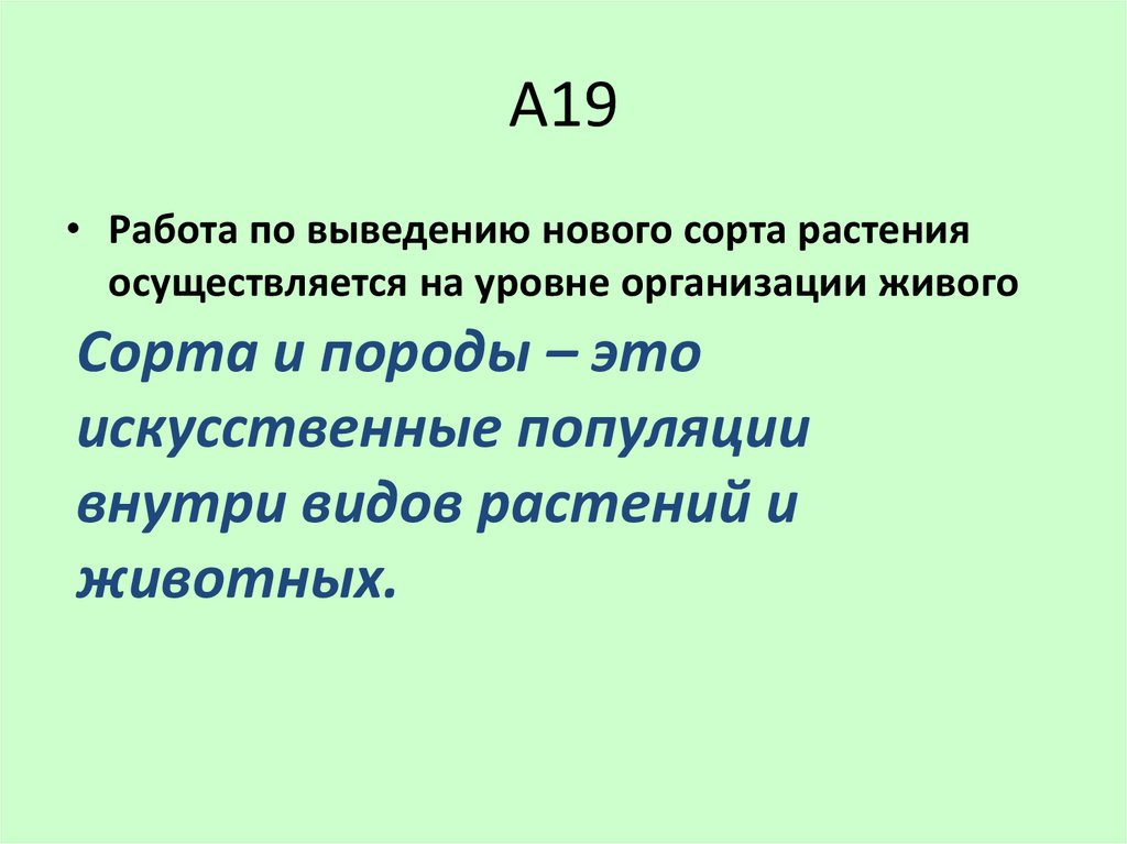 План выведения нового сорта растений.