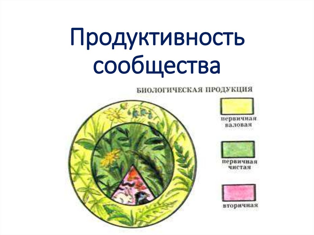 Презентация на тему сообщества 9 класс биология