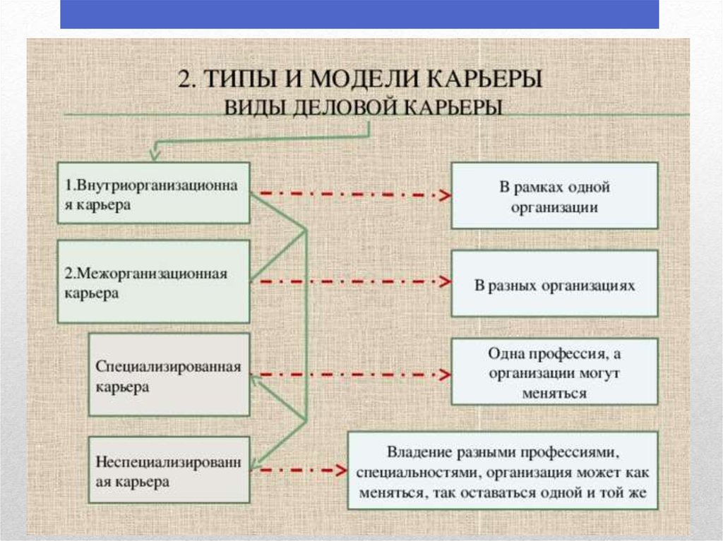 Планирование карьеров. Схема типы и виды профессиональных карьер. Управление деловой карьерой персонала. Виды профессиональной карьеры. Типы моделей карьеры.