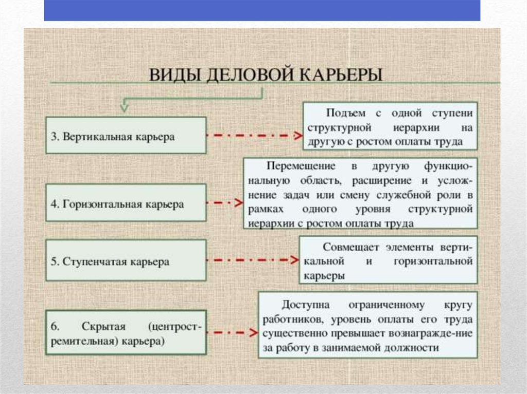 Виды деловой карьеры схема