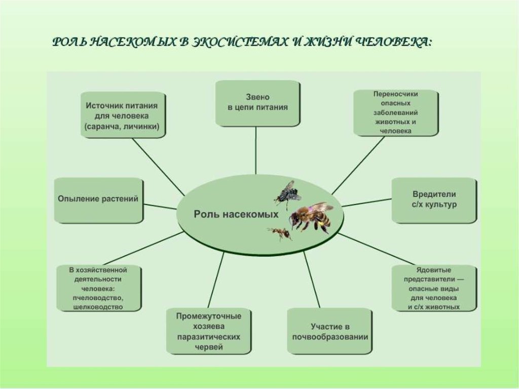 Роль карт в жизни людей