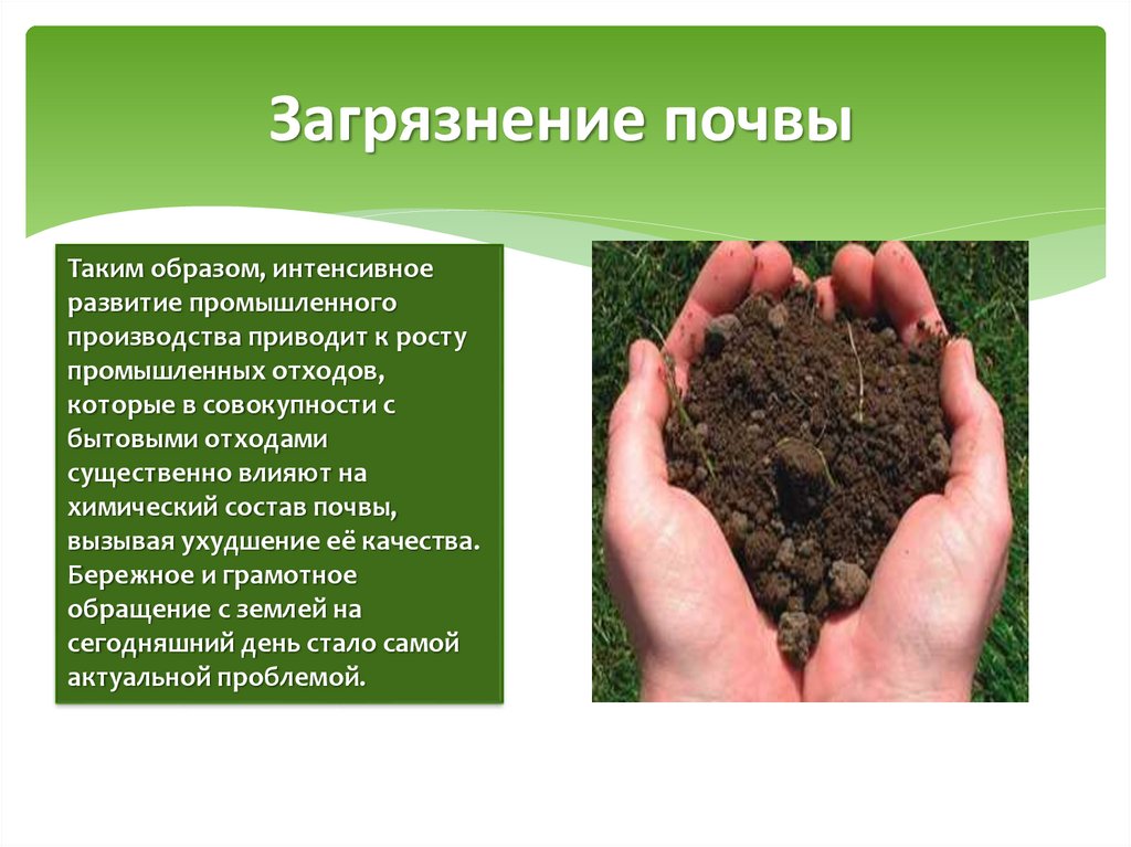 Токсичность почв