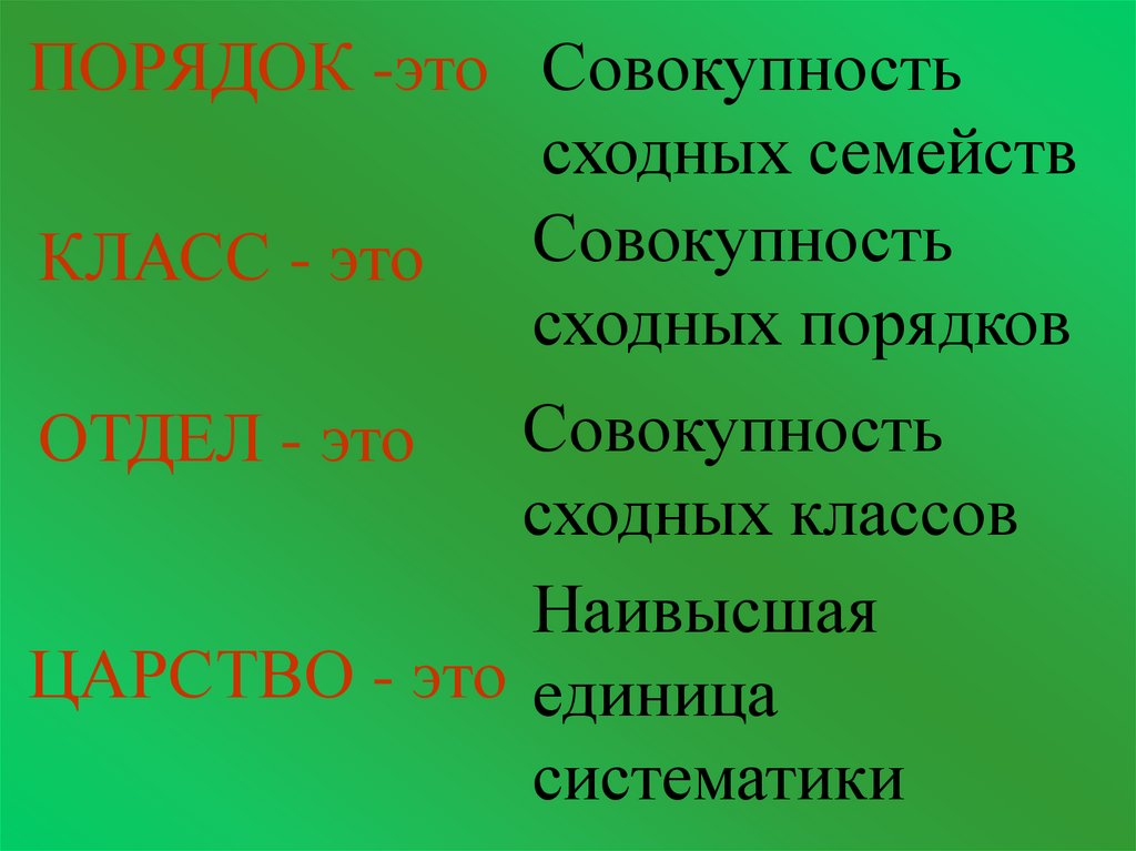 Что такое порядок. Порядок в биологии. Порядок в биологии это определение. Порядок в биологии примеры. Класс это в биологии определение.