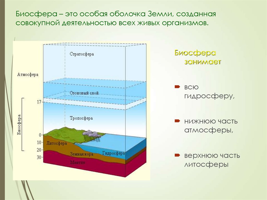 Где наибольшая концентрация живых организмов. Биосфера земная оболочка земли. Строение земли атмосфера гидросфера литосфера. Модель биосферы.