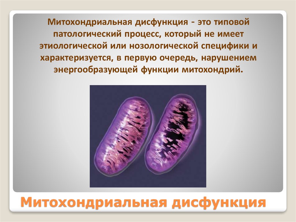 Что такое митохондрии у человека простыми словами. Патология митохондрий. Болезни связанные с нарушением ДНК митохондрий. Нарушение функции митохондрий. Дисфункция митохондрий.