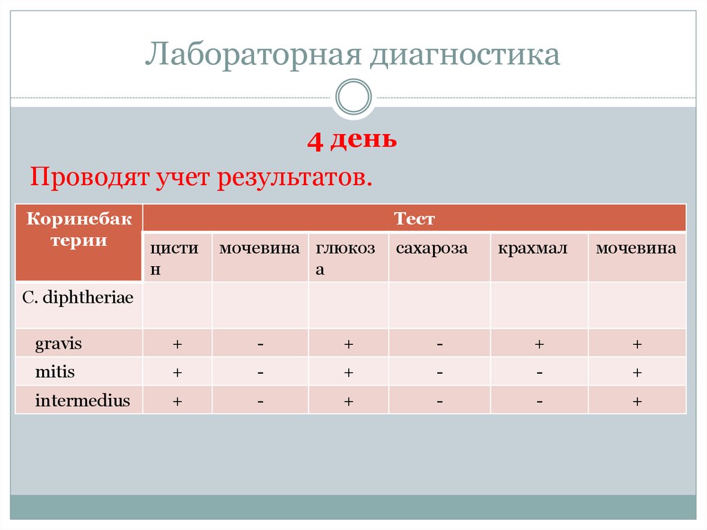 Как провести учет результатов. Передача возбудителя дифтерии возможна ответ на тест ГИГТЕСТ. Учет результатов лфкзаполненый. Гравис Митис Интермедиус. Дифтерийных бактерий: Гравис, Митис и Интермедиус.