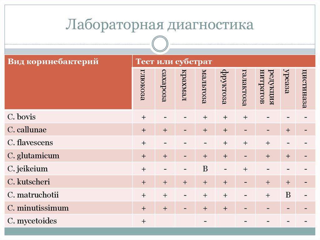 Лабораторная диагностика учебный план