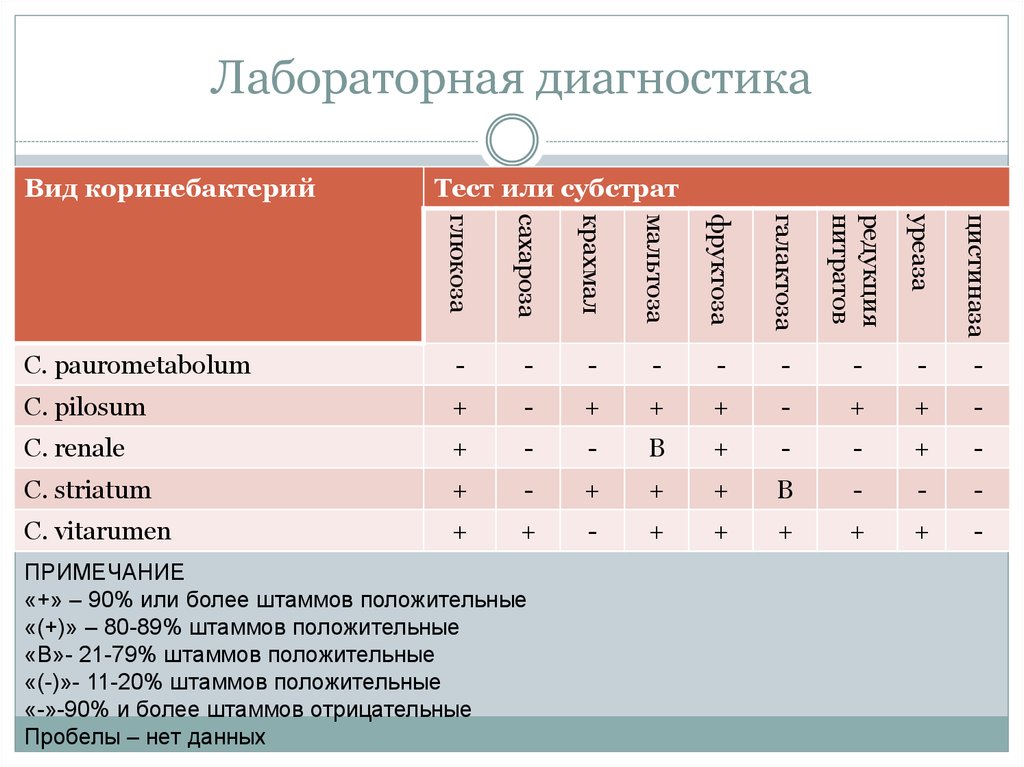 Тест лабораторная диагностика. Лабораторная диагностика коринебактерий. Биохимические свойства коринебактерий дифтерии. Коринебактерии дифтерии биохимические свойства. Биохимические свойства коринебактерий.