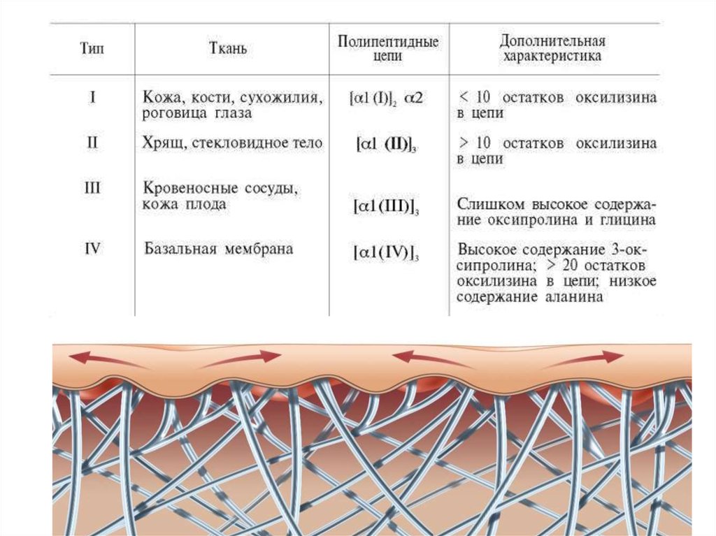 Свойства кожи ткань