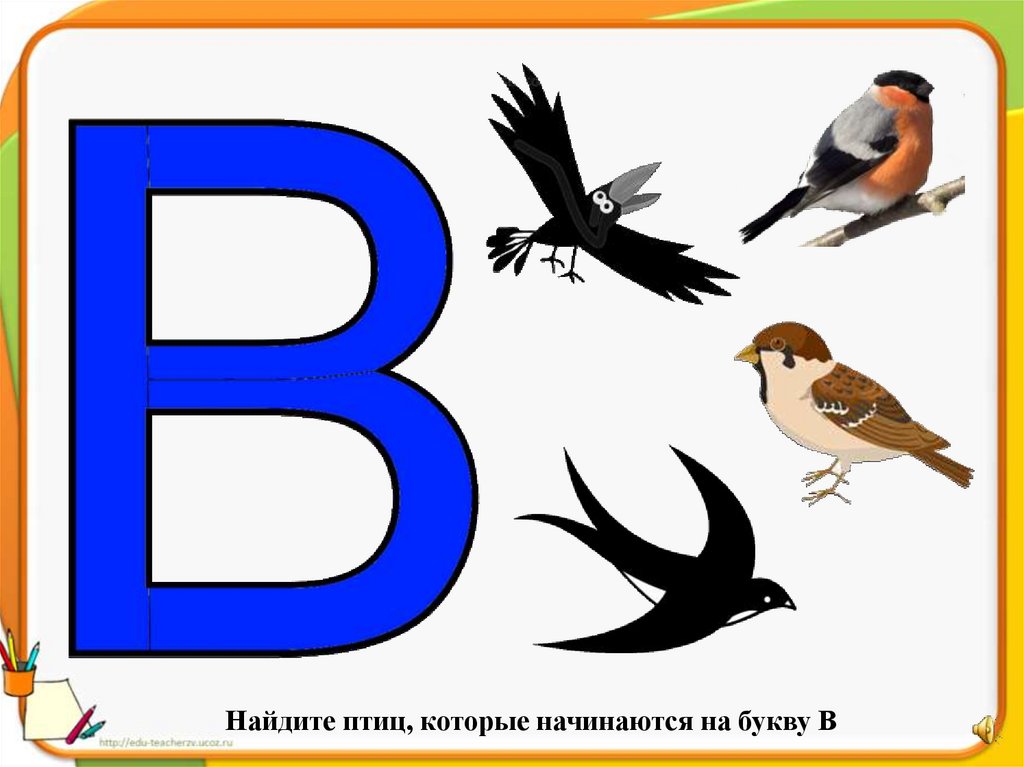 Слово 7 букв в конце на. Птицы на букву а. Птица на букву е. Птица на букву б. Буквы с птичками.