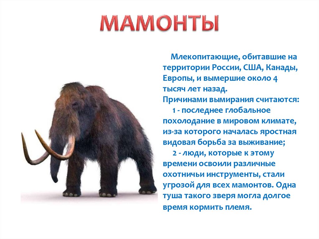 Составьте план предполагаемой экскурсии на тему древние обитатели нашей планеты