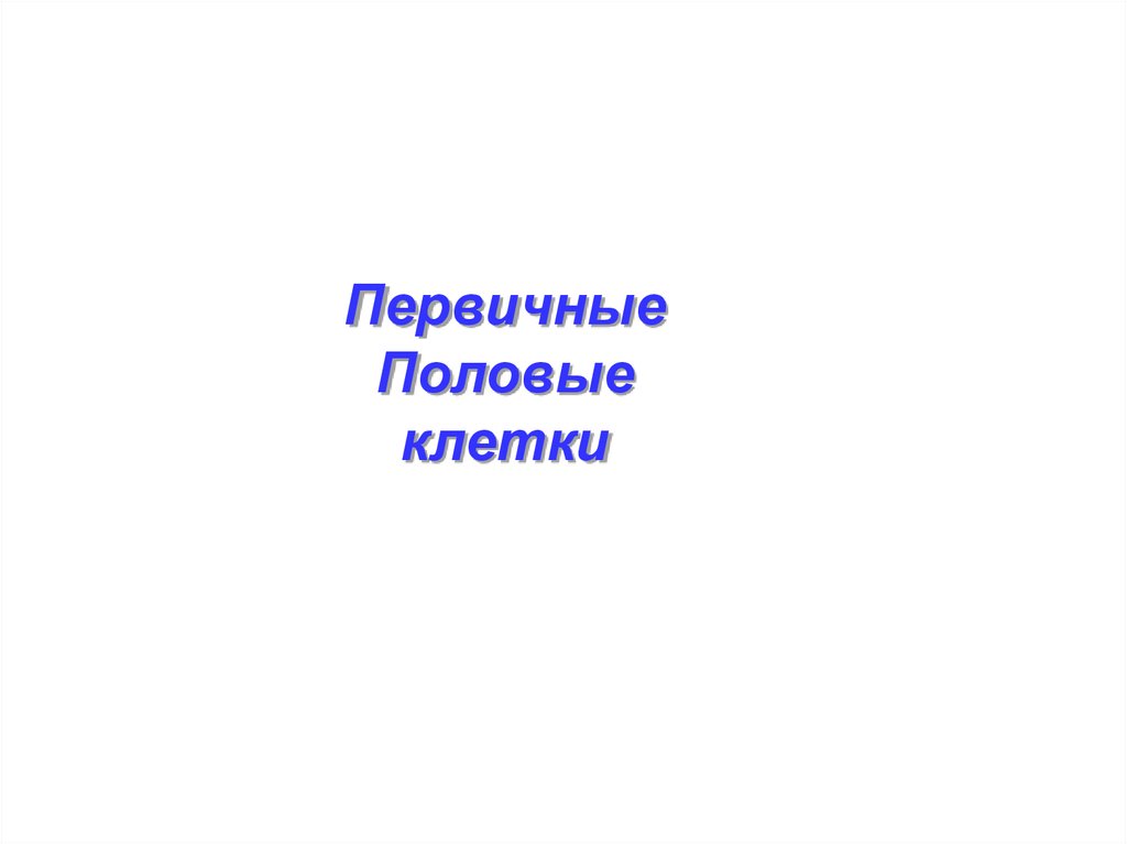 Первичный пол. Гипотезы происхождения половых клеток.