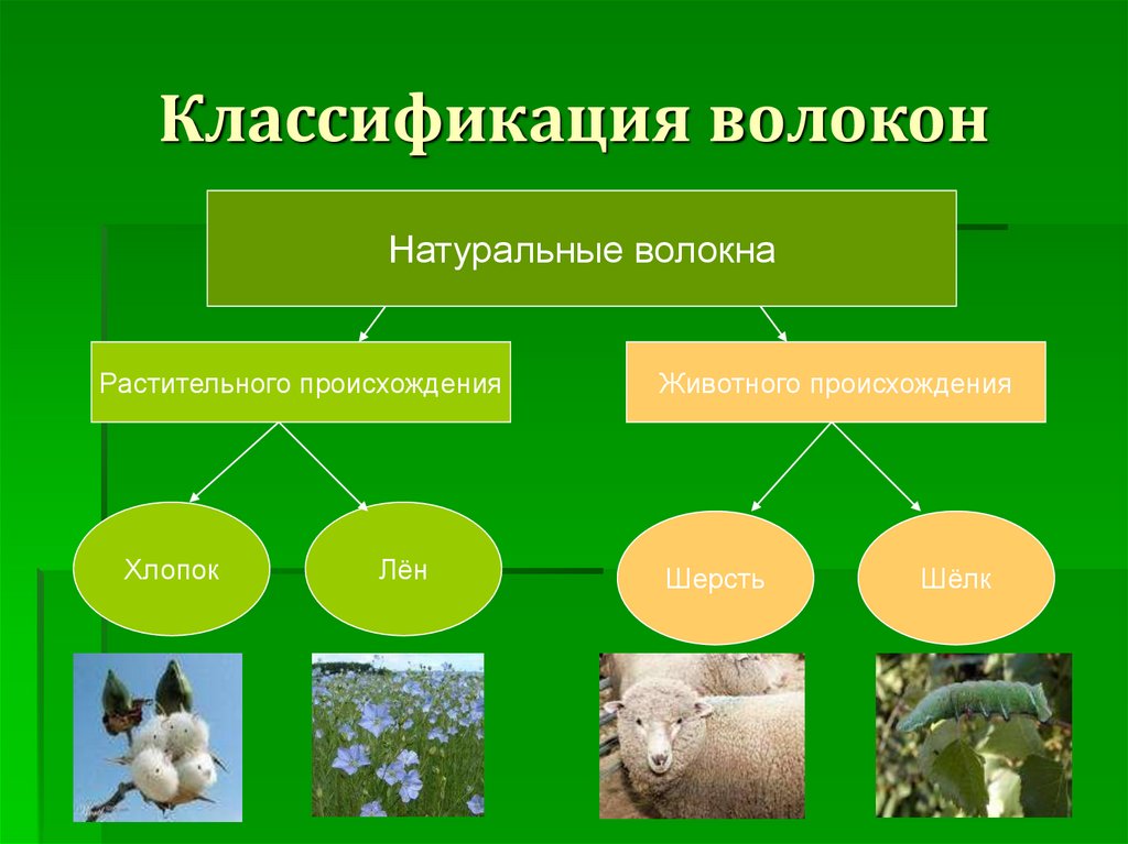 Растительные волокна свойства. Классификация натуральных волокон растительного происхождения. Натуральные волокна животного происхождения. Натуральные волокна растительного и животного происхождения. Натуральные ткани растительного происхождения.