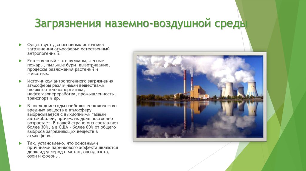 ГДЗ учебник по биологии 5 класс Пасечник. §4. Вопросы после параграфа. Номер №3