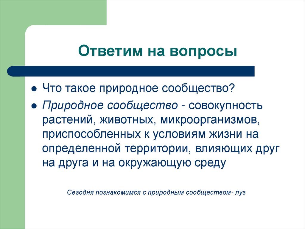 Совокупность растений на одной территории. Вопросы по природным сообществам. Естественный.