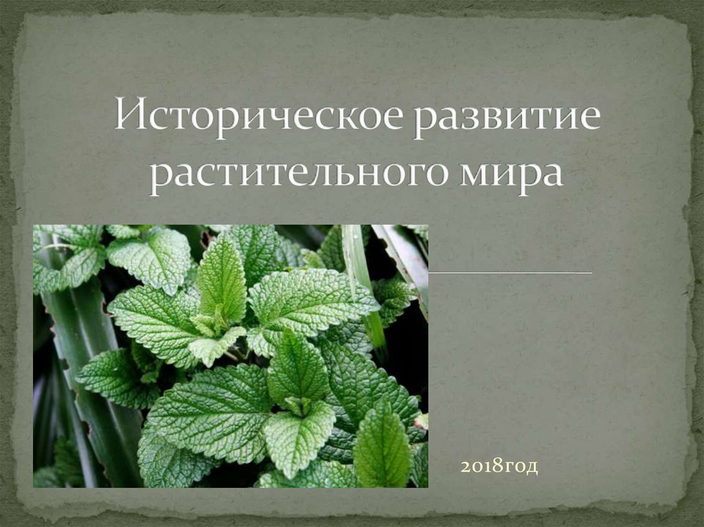 Историческое развитие растительного мира 6 класс презентация пономарева