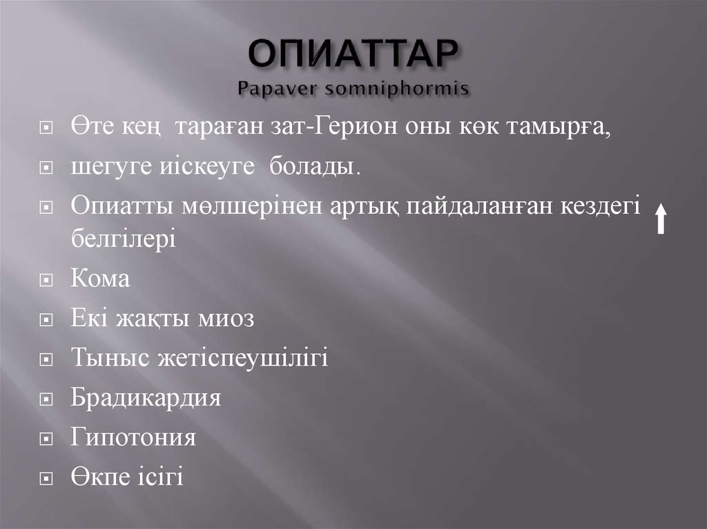 ОПИАТТАР Papaver somniphormis