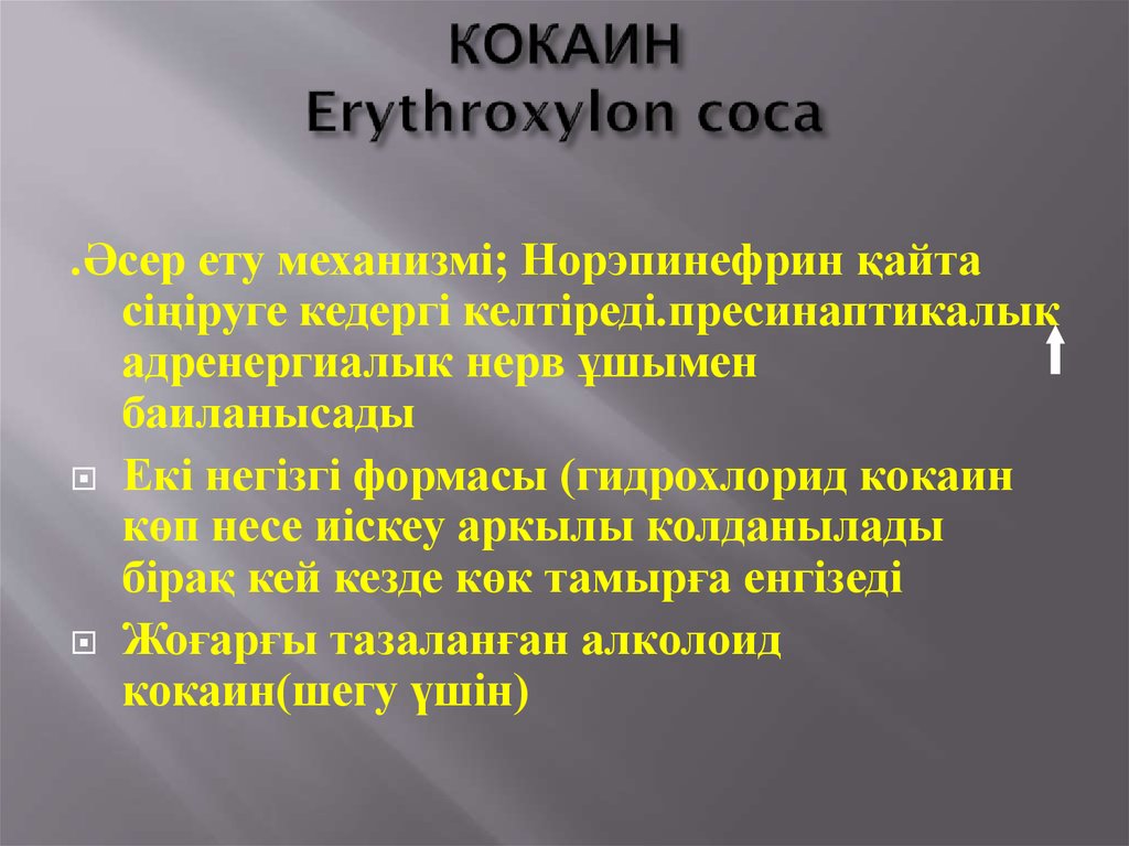 КОКАИН Erythroxylon coca