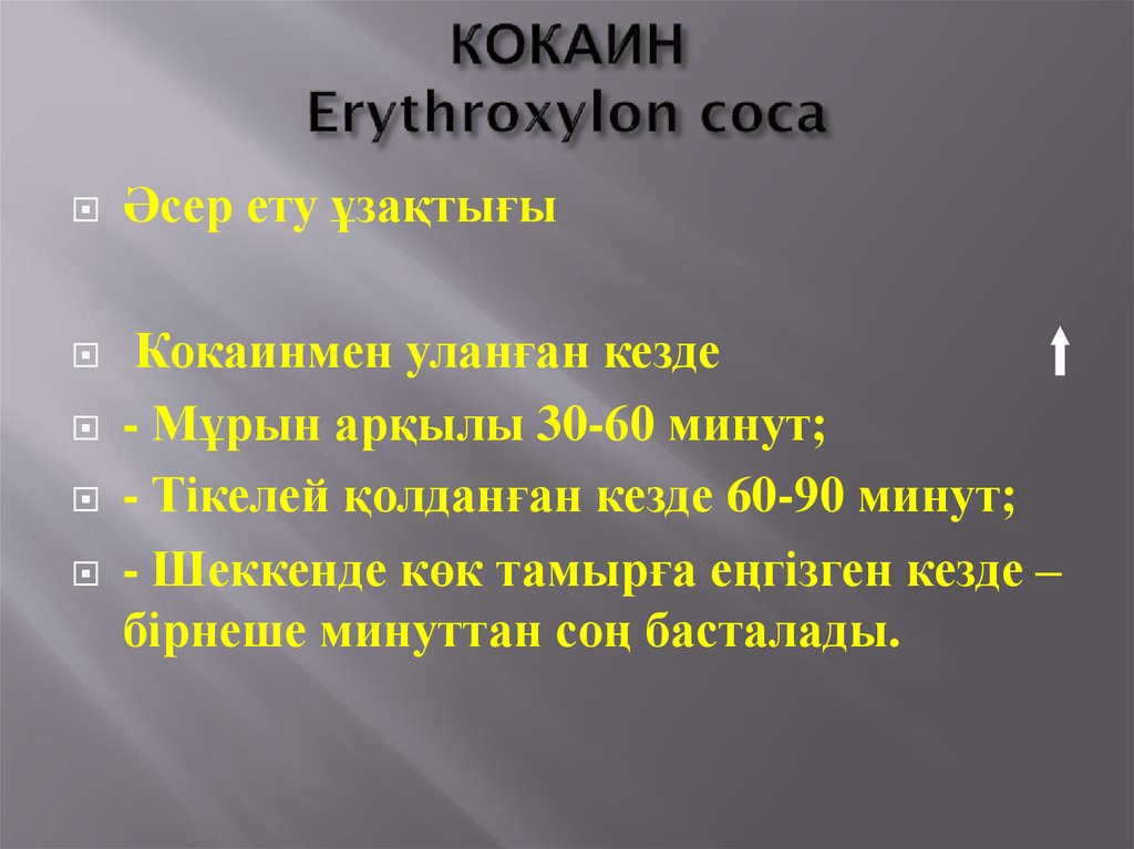 КОКАИН Erythroxylon coca