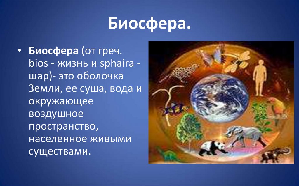 Рисунок человек часть биосферы. Биосфера. Биосфера планеты земля. Биосфера это в географии. Биосфера от греч BIOS жизнь и sphaira.