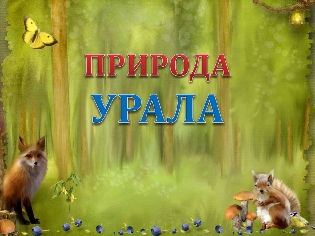 Дикая природа презентация