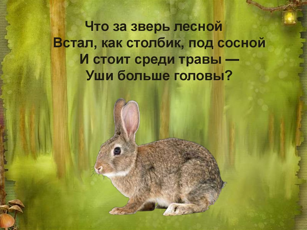 Что за зверь. Что за зверь Лесной. Что за зверь Лесной встал как столбик. Лесные животные столбик. Что за зверь Лесной встал как столбик под сосной стоит среди травы.