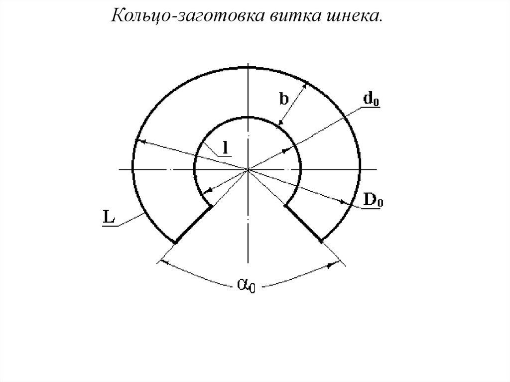 Чертеж витка