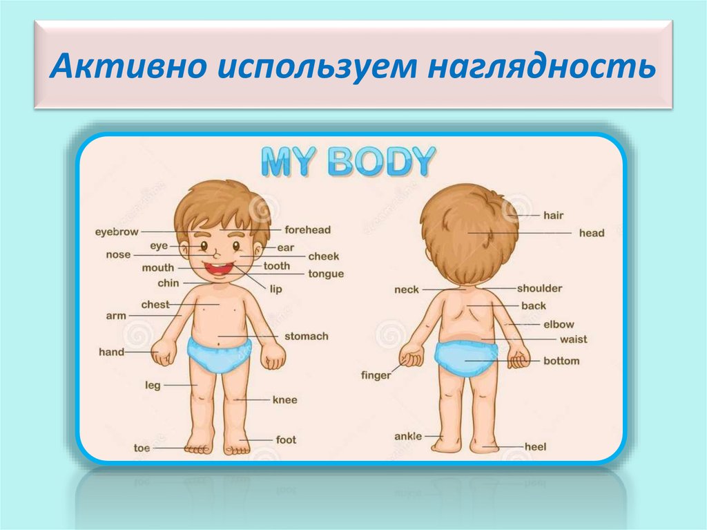 Активно используем наглядность