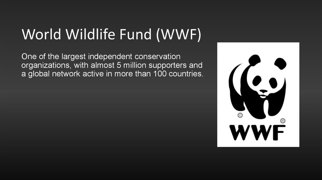 The world wildlife fund is. Всемирный фонд дикой природы. WWF презентация. WWF World Wildlife Fund. (Англ. World Wildlife Fund, WWF).