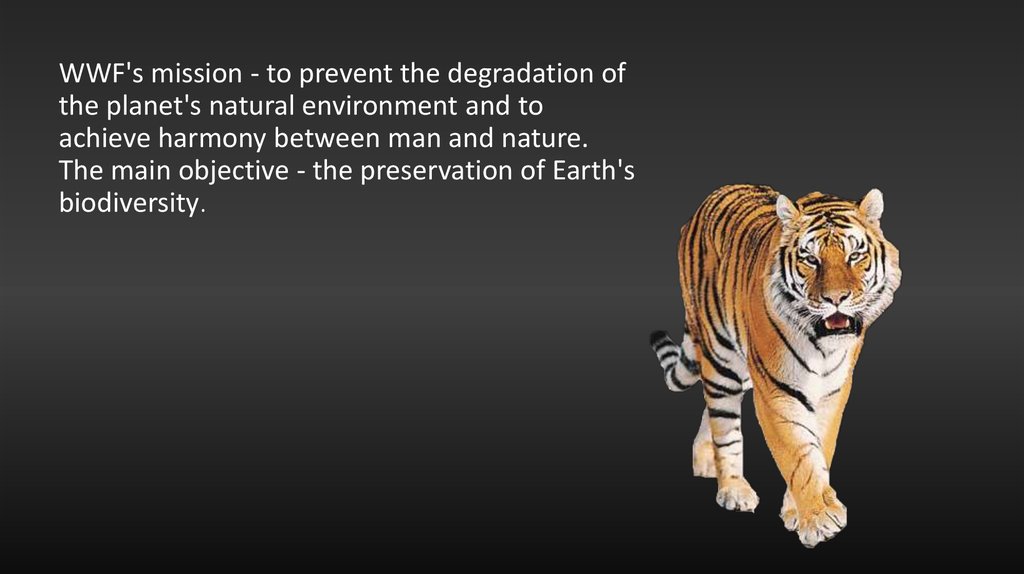 The world wildlife fund is. WWF презентация.