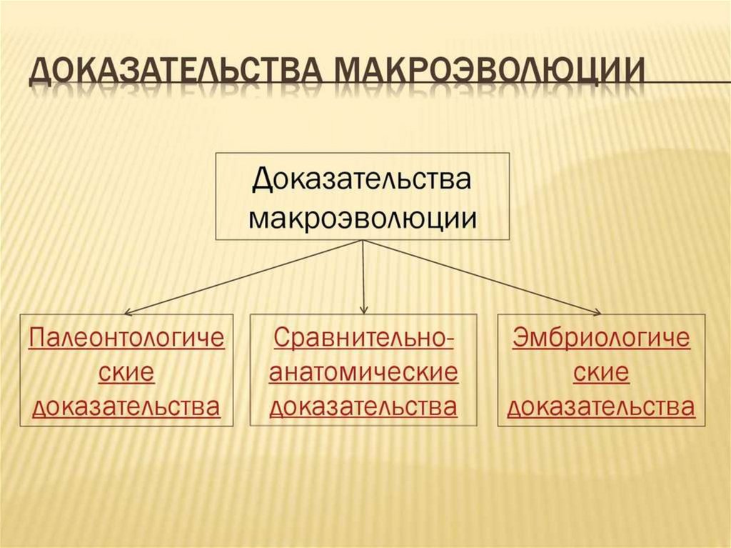 Макроэволюция в отличие от макроэволюции