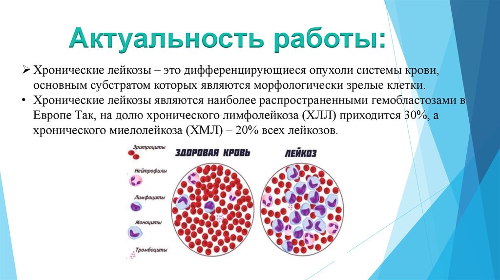 Лейкозы острые и хронические презентация