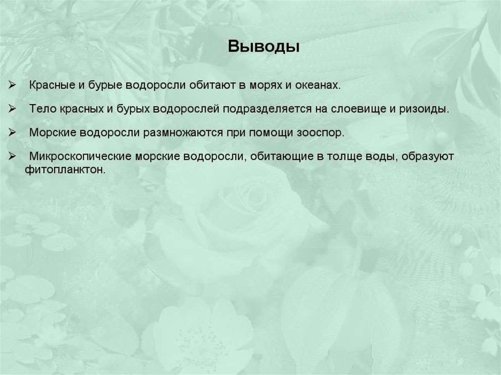 Вывод водорослей. Вывод водоросли. Вывод про бурые водоросли. Вывод красных водорослей. Вывод по водорослям.