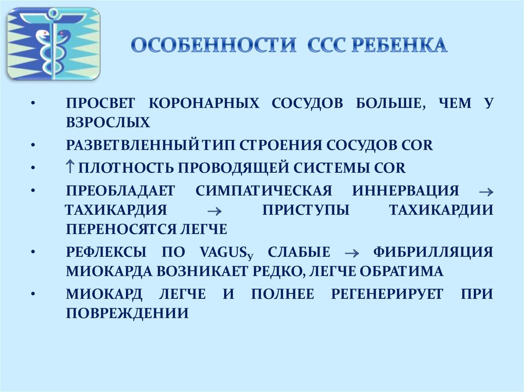 Сердечно сосудистая система особенности