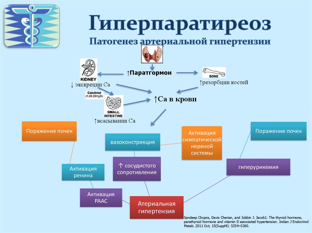 Гиперпаратиреоз кальций