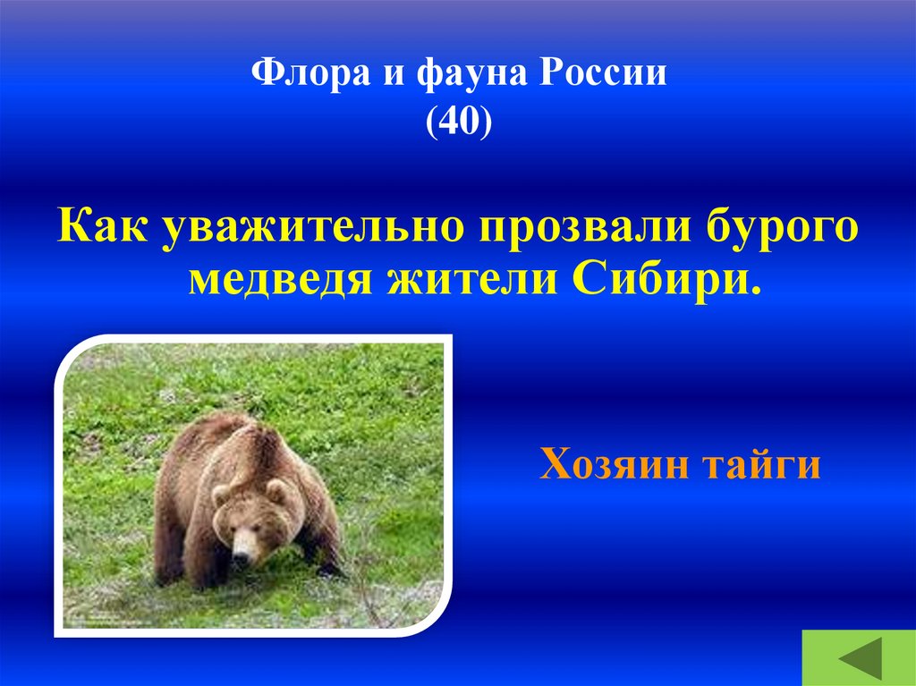 Флора и фауна России (40)