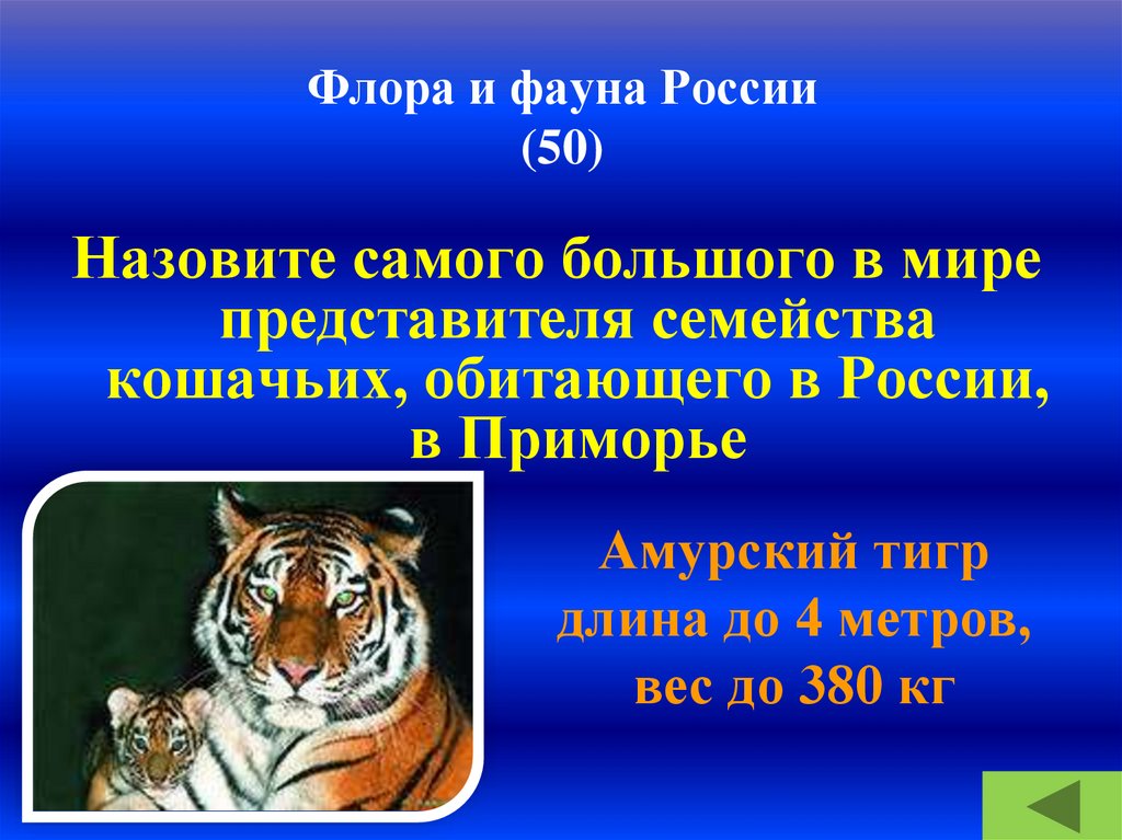 Флора и фауна России (50)