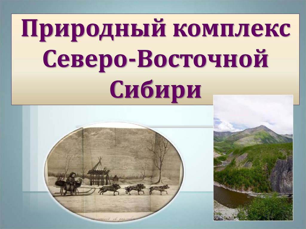 Природные комплексы и регионы. Природные комплексы России. Крупные природные комплексы России. Природные комлпексы Росси. Природные комплексы Северо Восточной Сибири.