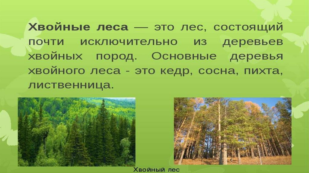 И на воде и в лесу презентация 2 класс окружающий мир