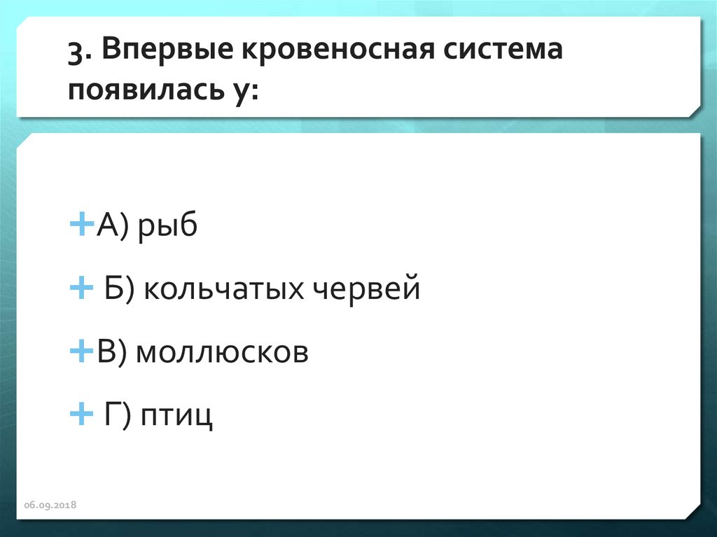 Впервые кровеносная система появляется у