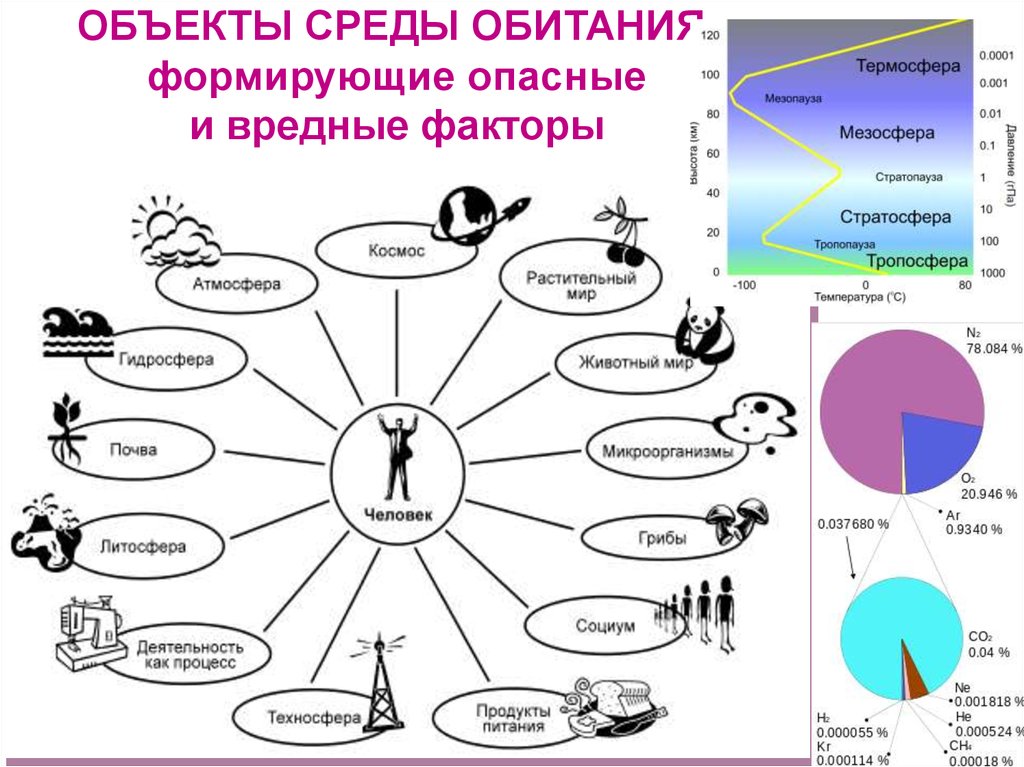 Человек объект среда. Объекты среды обитания. Объект окружения. Вредные факторы термосферы. Факторы среды обитания человека формирующие его здоровье БЖД.