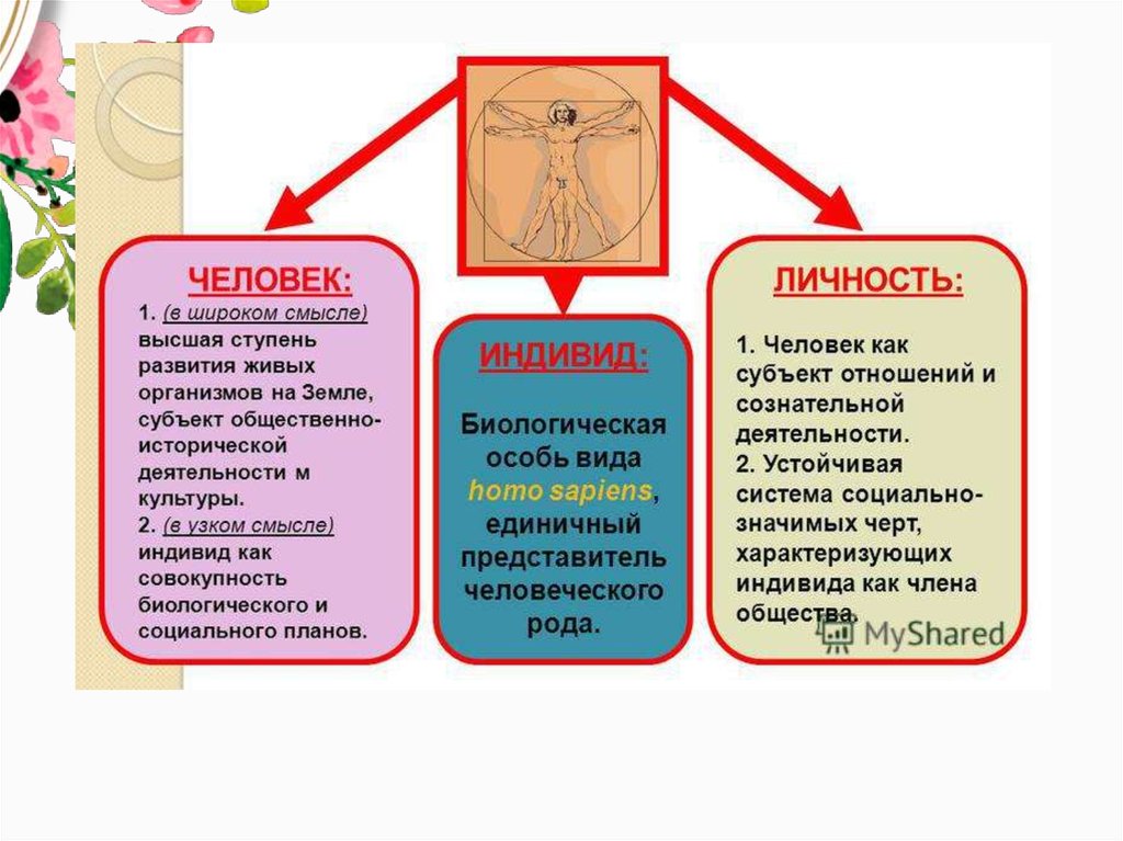 Укажите верные суждения о биосоциальной сущности человека. Человек как биосоциальное существо план. Человек биосоциальное существо таблица.